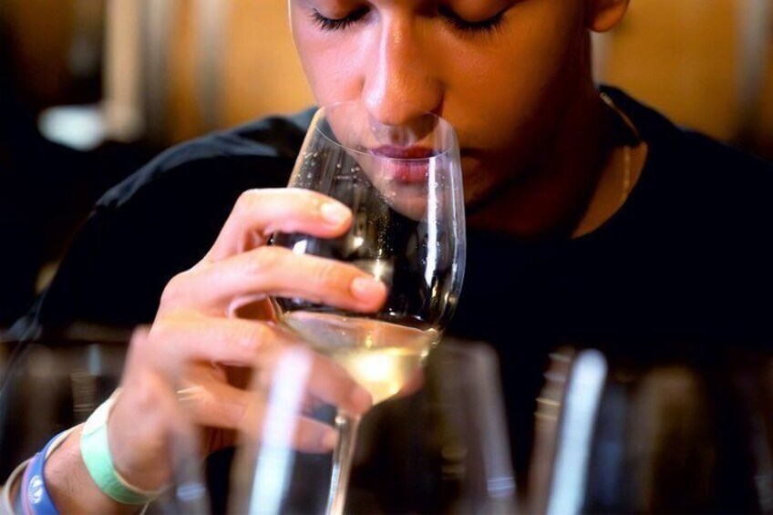 Malaga Organic Vineyard & Winery: 6 Wines, 2 Oils & Transfer 5