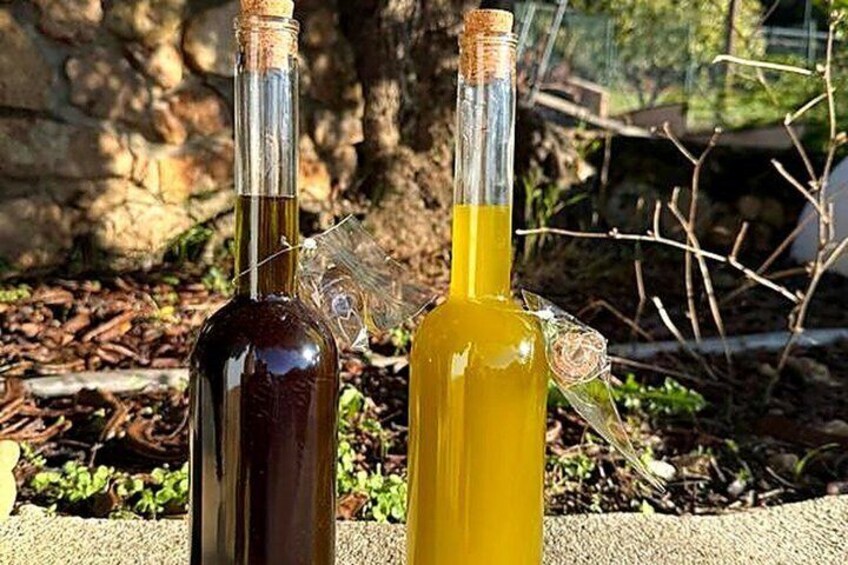 Malaga Organic Vineyard & Winery: 6 Wines, 2 Oils & Transfer 2