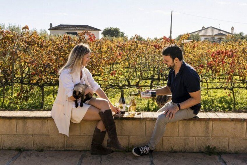 Malaga Organic Vineyard & Winery: 6 Wines, 2 Oils & Transfer 3