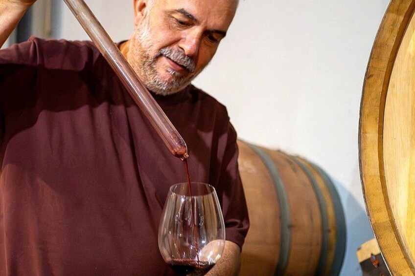 Malaga Organic Vineyard & Winery: 6 Wines, 2 Oils & Transfer 5