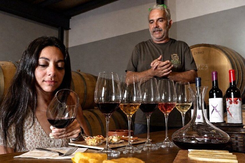 Malaga Organic Vineyard & Winery: 6 Wines, 2 Oils & Transfer 1