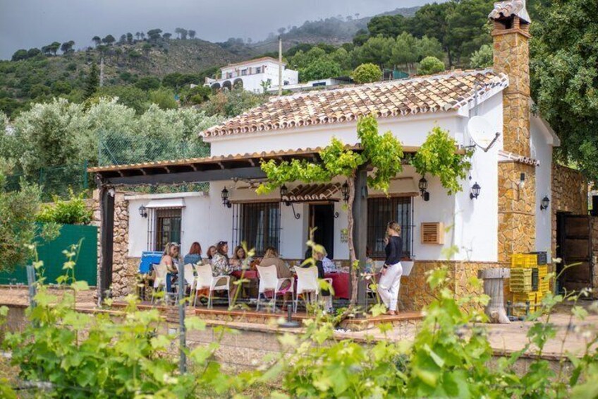 Malaga Organic Vineyard & Winery: 6 Wines, 2 Oils & Transfer 2