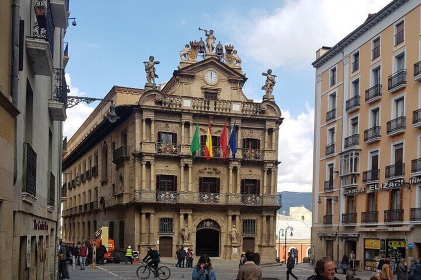 Private tour of Pamplona and the castle of Javier 