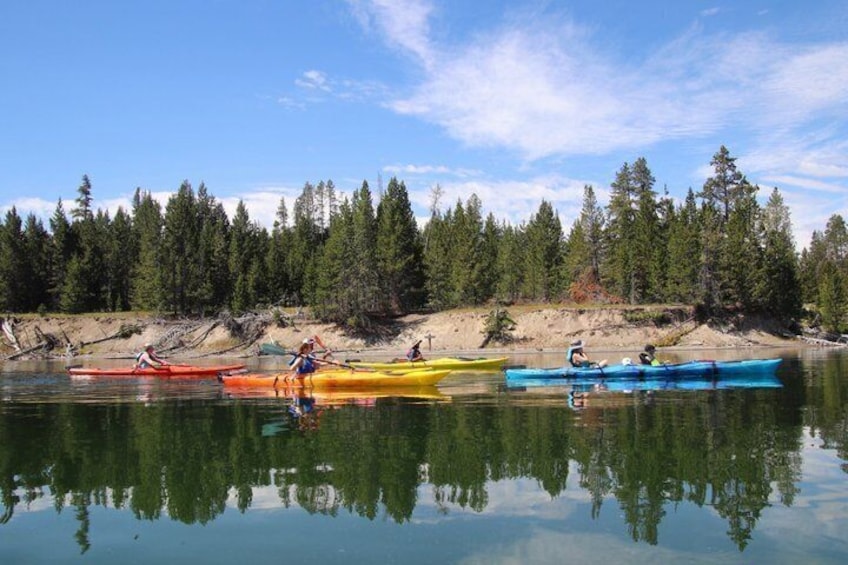 Yellowstone Lake & Hot Springs / 3 Hour Morning or Twilight Tour 3