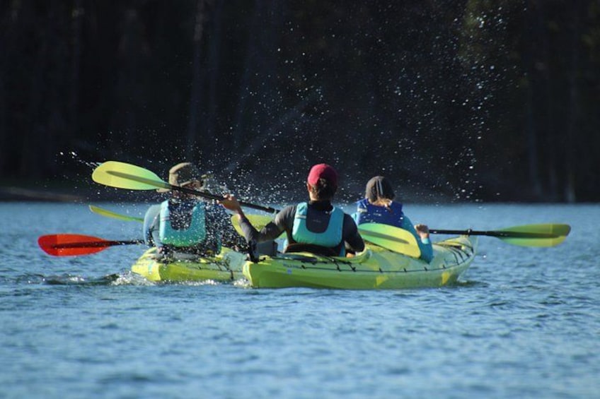 Drie personen kajakken op een kalme waterpartij. 4