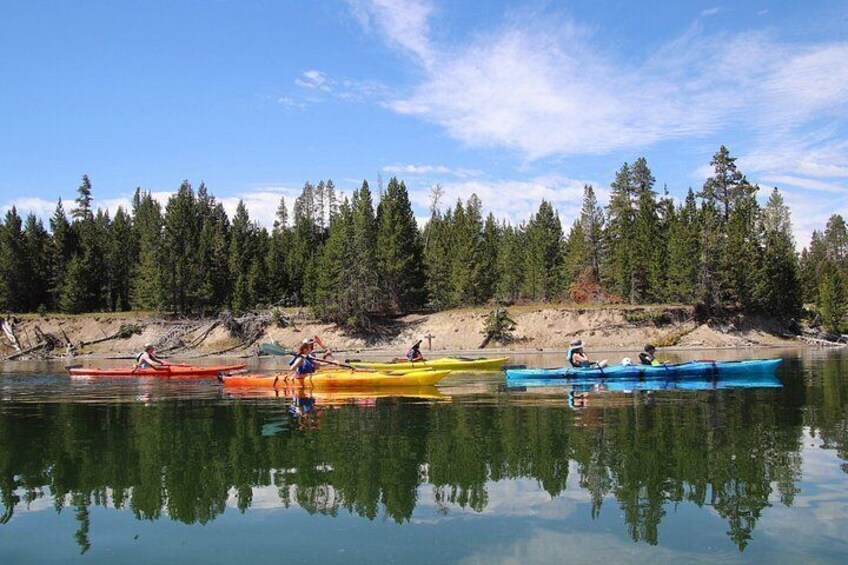 Yellowstone Lake & Hot Springs / 3 Hour Morning or Twilight Tour 3