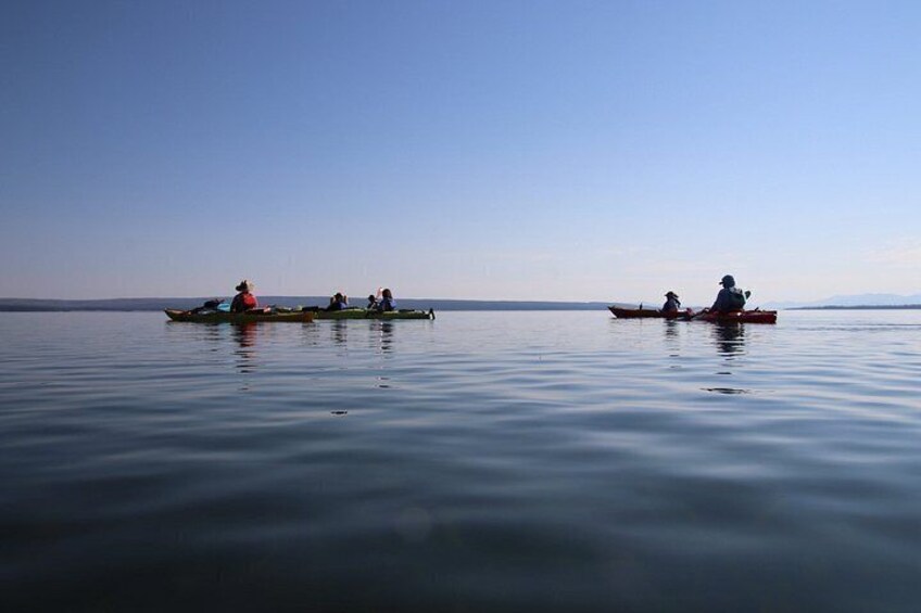 Yellowstone Lake & Hot Springs / 3 Hour Morning or Twilight Tour 5