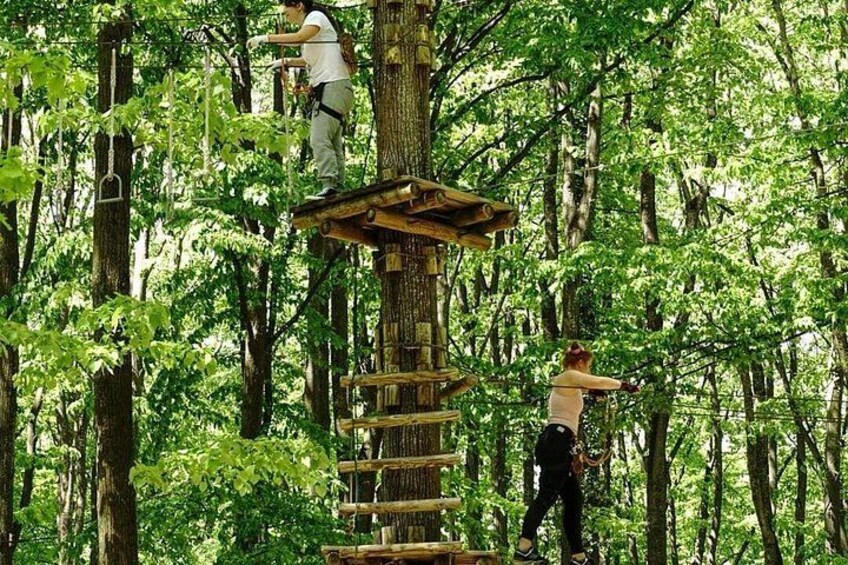 Een persoon beklimt een houten toren in een bos. 1
