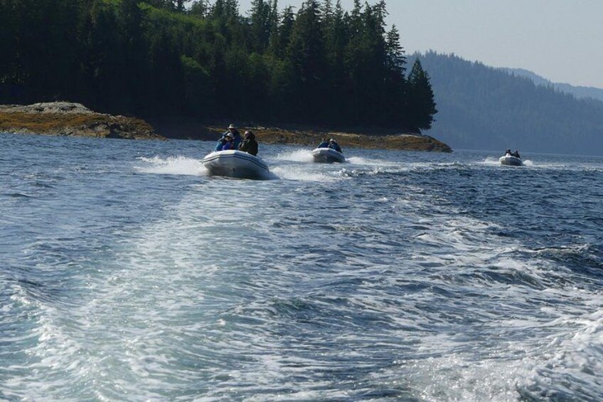 Cruising the shoreline looking for wildlife. 2