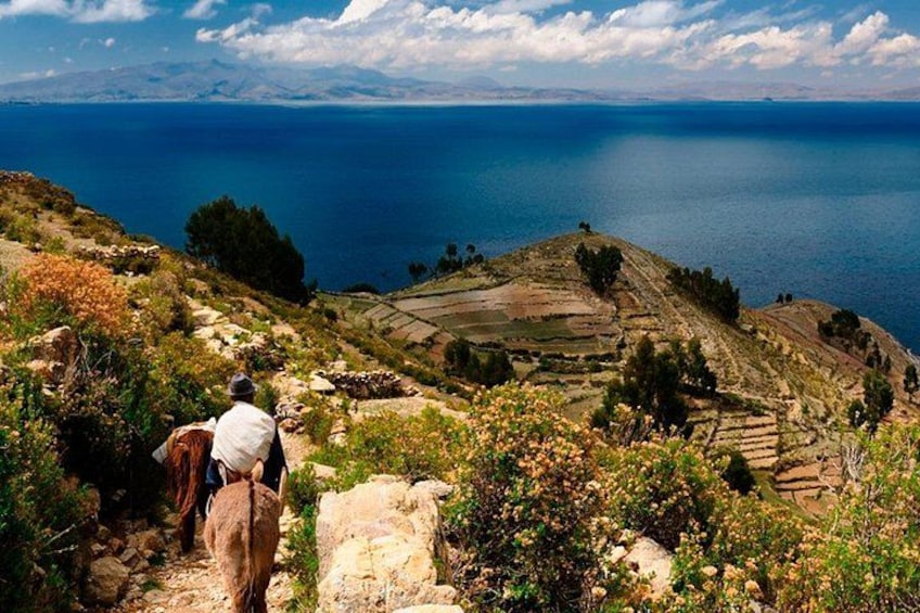 Una persona caminando por un sendero pedregoso con vistas a un paisaje costero y viñedos. 5