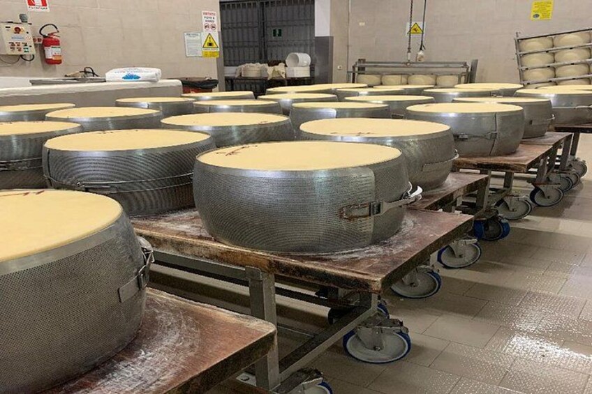 Day Tour Parmigiano, Ferrari Museum, Balsamic, Lambrusco, Lunch with Transfer 5