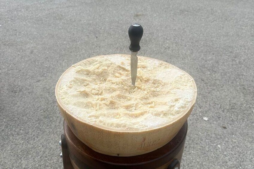 Day Tour Parmigiano, Ferrari Museum, Balsamic, Lambrusco, Lunch with Transfer 2