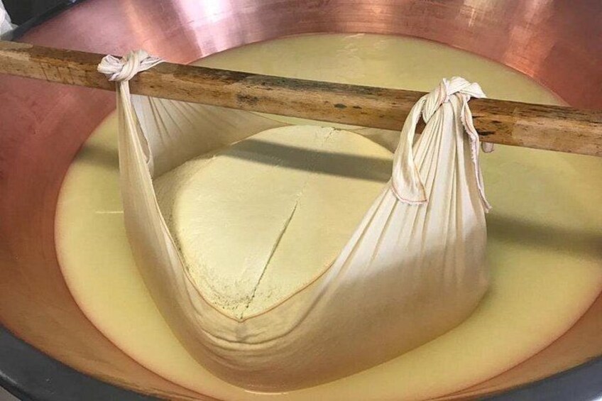 Parmigiano Cheese Factory Visit and Tasting 1