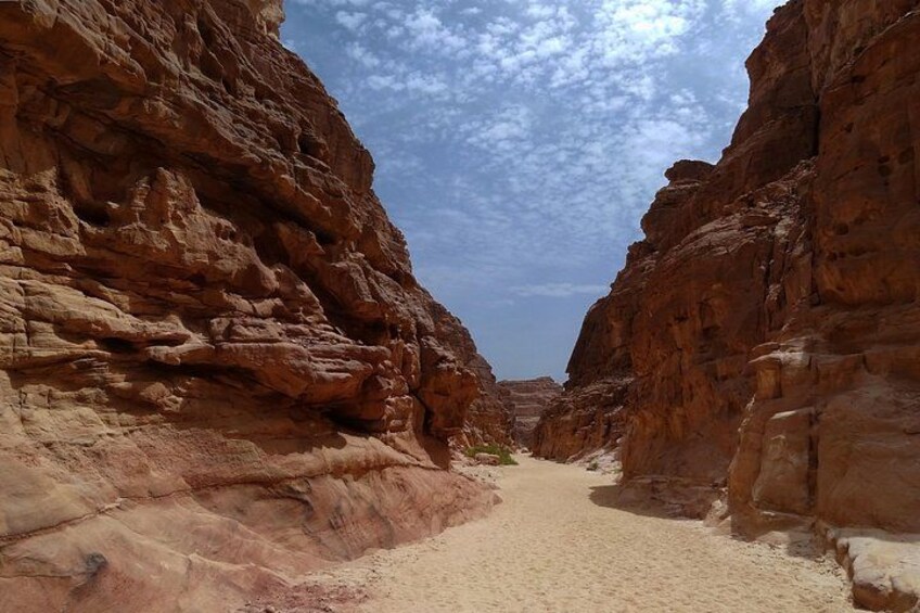 A narrow canyon with red rock walls and a sandy path. 4