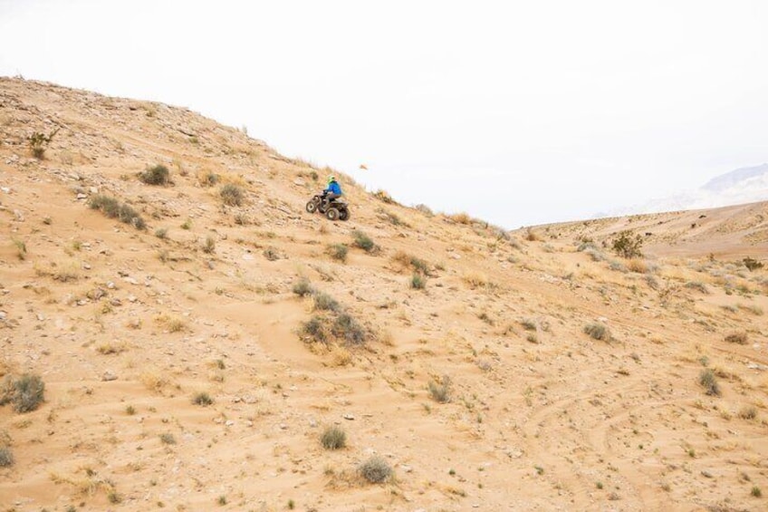 A person riding a quad bike on a sandy hill. 3