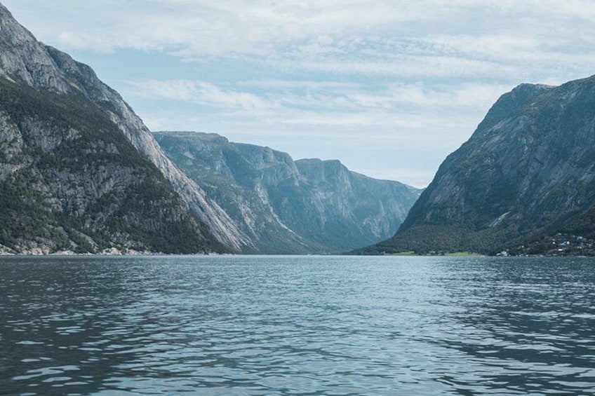 Ulvik: Hardangerfjord Ultimate RIB Safari 5