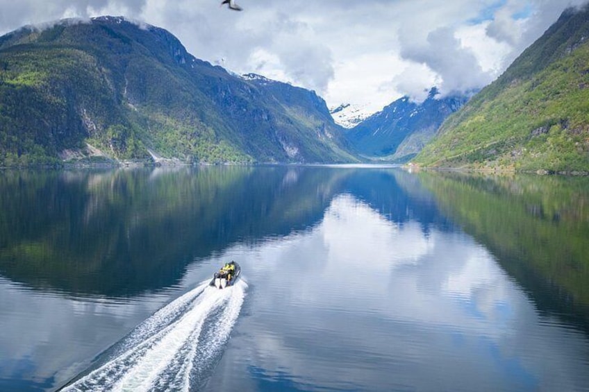 Ulvik: Hardangerfjord Ultimate RIB Safari 4