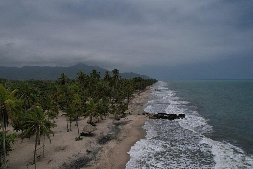 A beach with palm trees and a rocky outcrop. 3