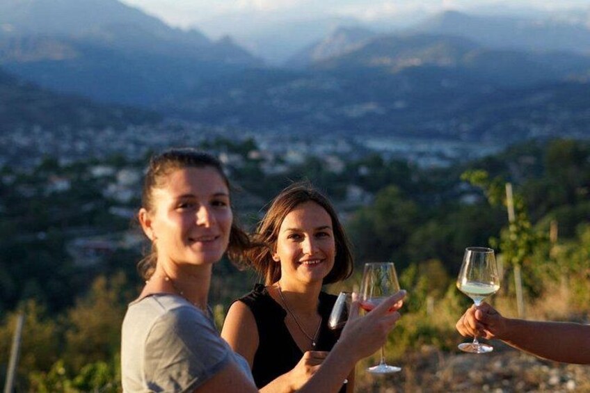 Vineyard in Nice 4