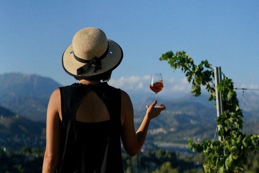 Vineyard Tour 1