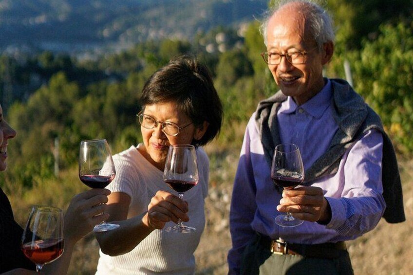 discover local wines 5