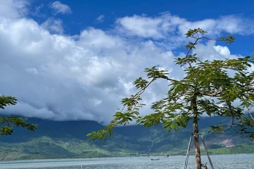 A tree by a lake with mountains in the background. 2