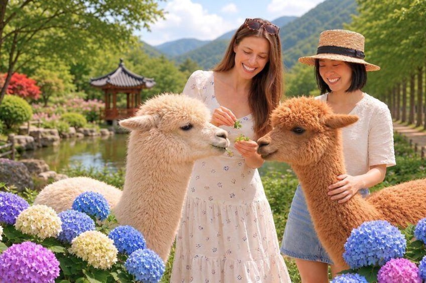 Two people with alpacas in a garden with a pagoda and flowers. 1
