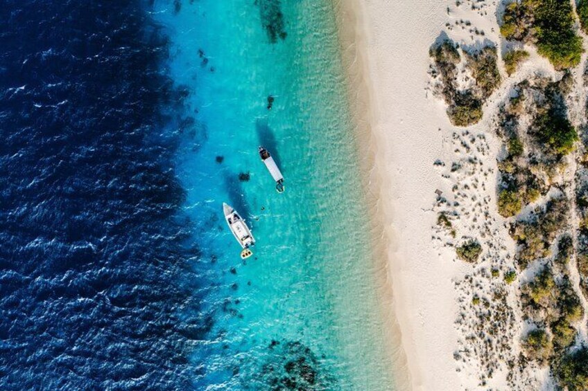 Marine Park - Private Boat charter with LOCAL Captain/ Guide 1