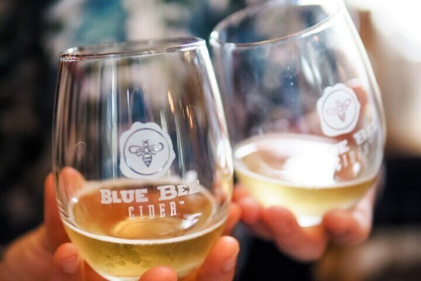Two glasses of Blue Bee Cider held by a person. 4