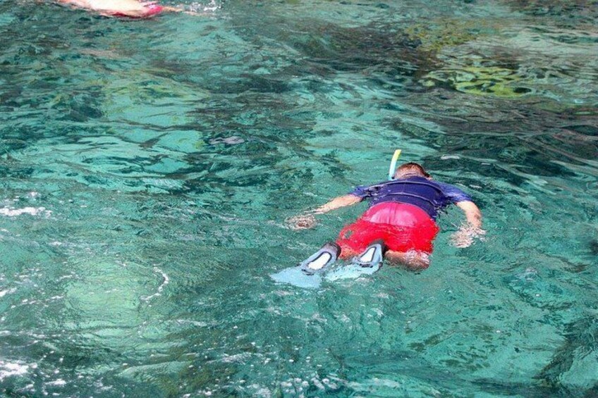 snorkeling 4
