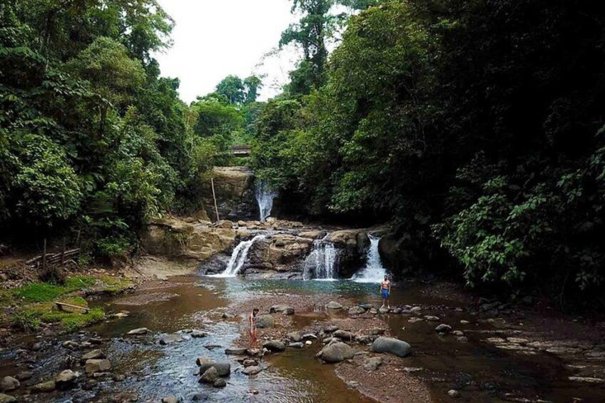 Cahuita National Park Nature Walk & Waterfall Tour 1