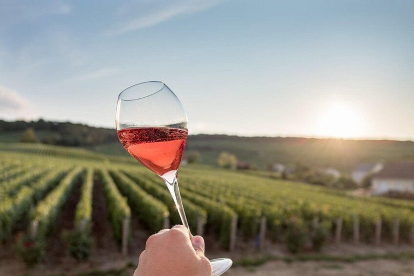 Visit the Vineyards around Epernay. 3