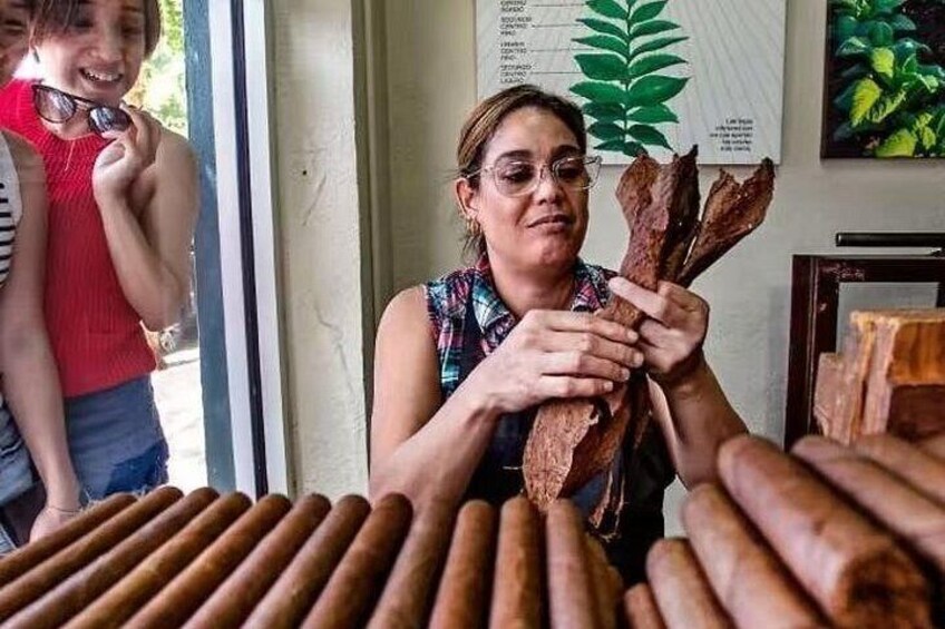 Watch cigars being made by hand 4