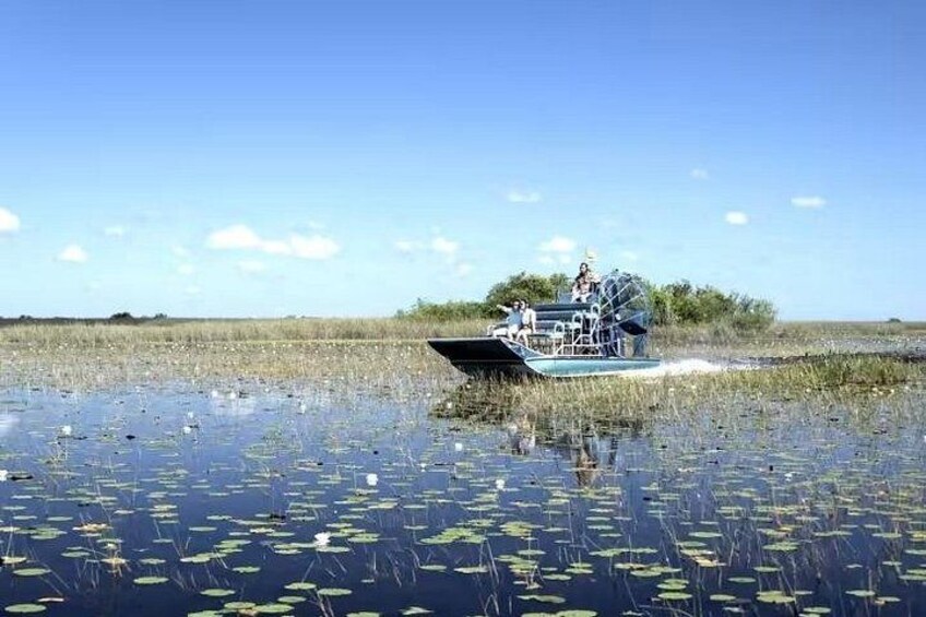 Glide across the 'Glades 4