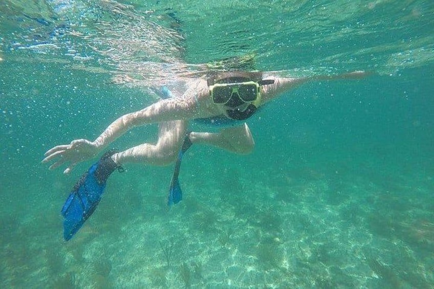 A person swimming underwater with fins and goggles. 2