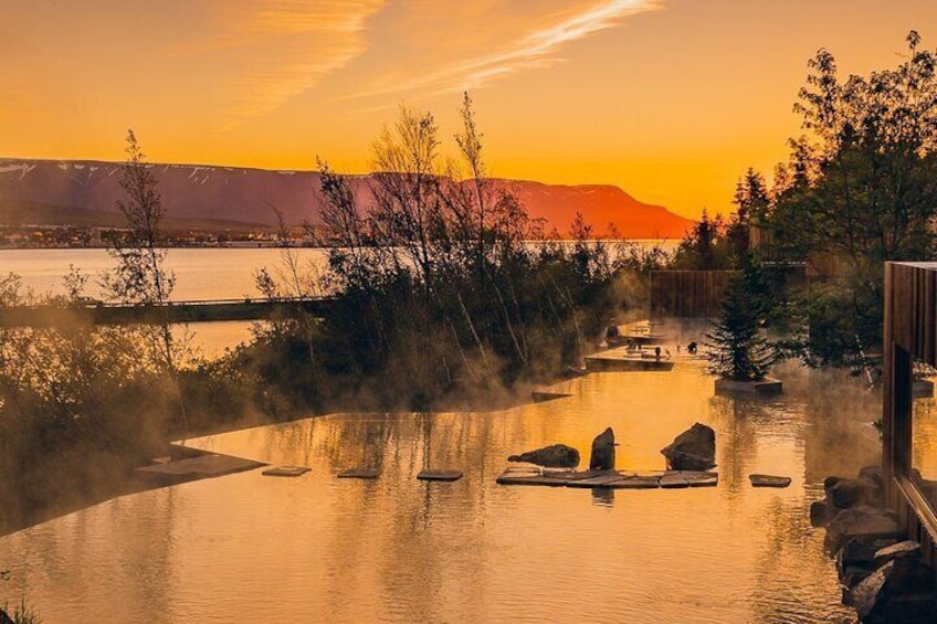 A hot spring area with rocks and trees during sunset. 1