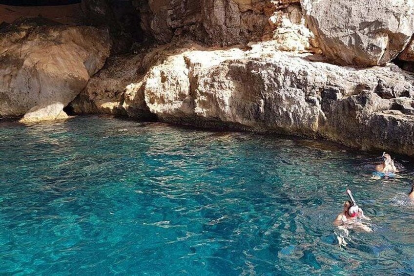 Dolphin Watching in Mallorca (Paguera) 3