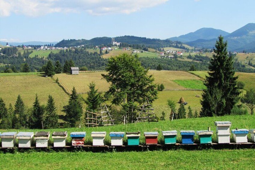 The wine route by bike