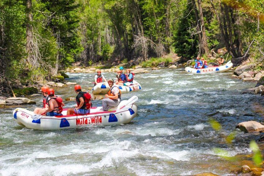 Telluride Afternoon Half Day Rafting Trip - San Miguel River 1