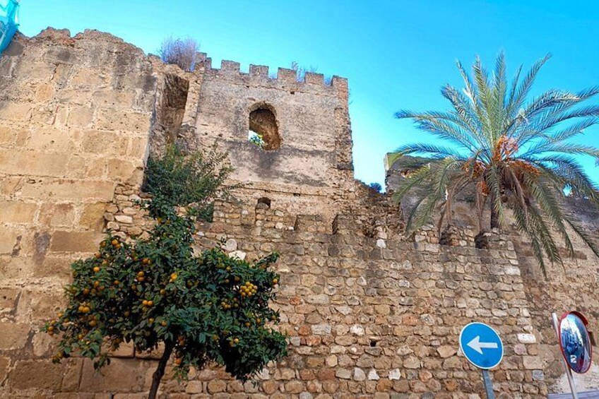 From Malaga: Private trip in Gibraltar and Marbella 2