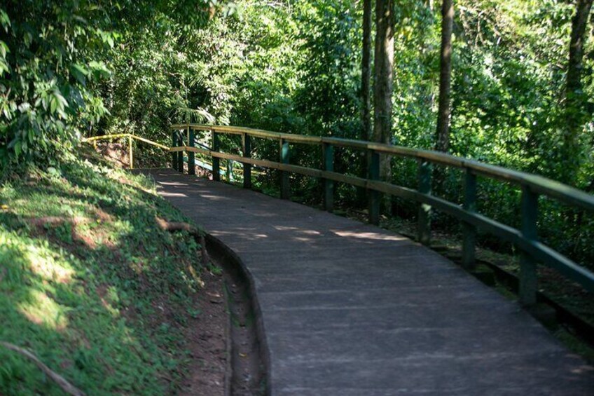 Iguazu Falls Brazilian Side