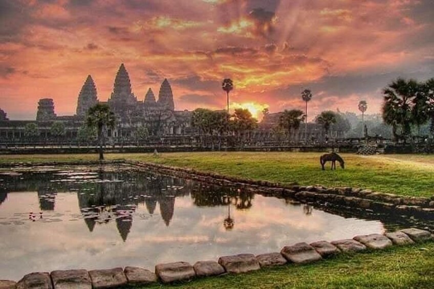 A sunset at Angkor Wat with reflections in a pond, a horse grazing, and palm trees. 1