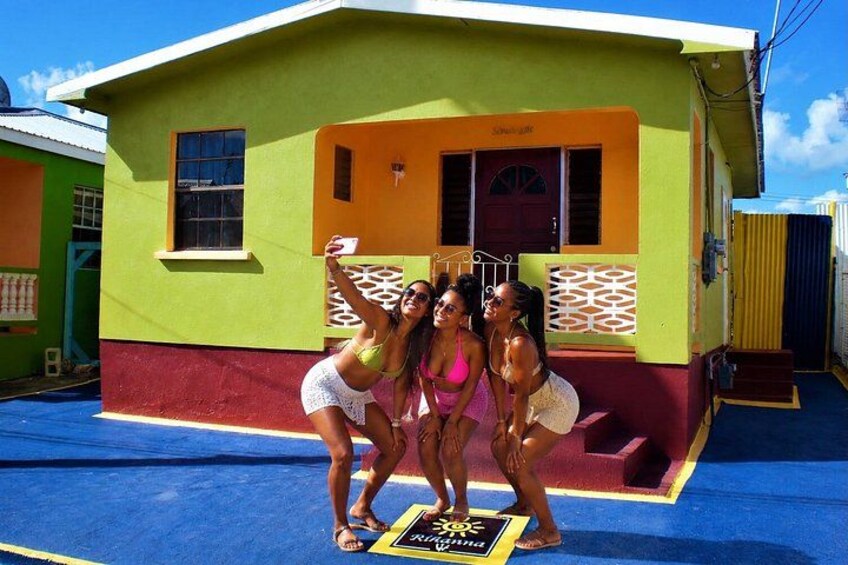 Private Half-Day Barbados Excursion 2
