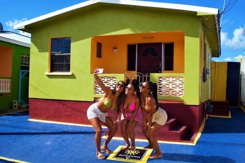 Private Half-Day Barbados Excursion 3