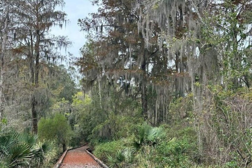 Devil's Swamp - Eco - Walking Tour 2