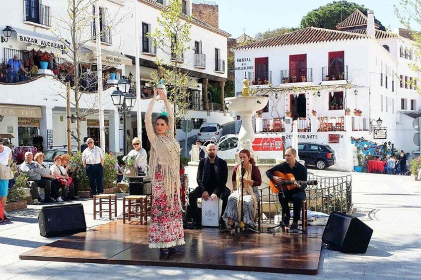 Flamenco show 3