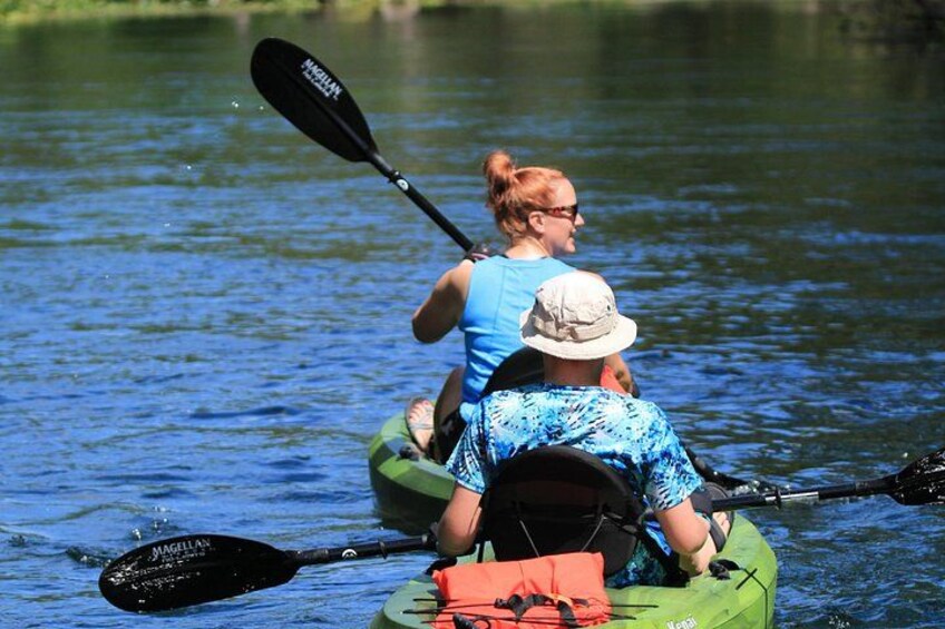 Silver Springs Manatee Kayak Tour 4