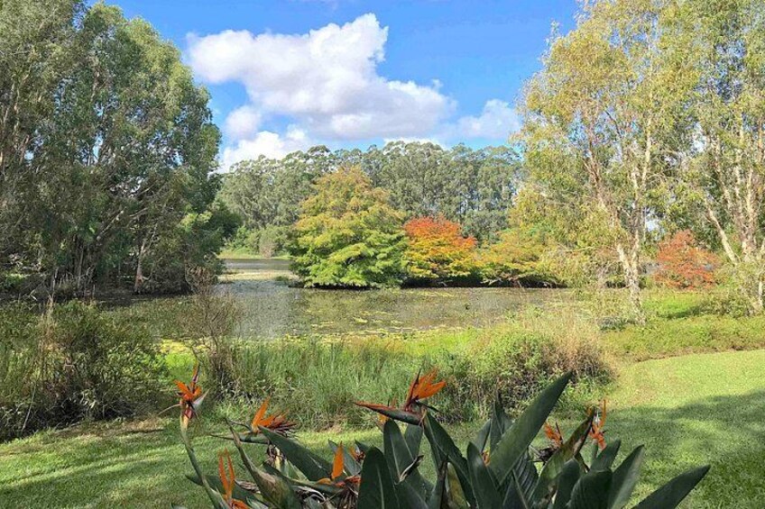 A pond surrounded by trees and greenery. 4