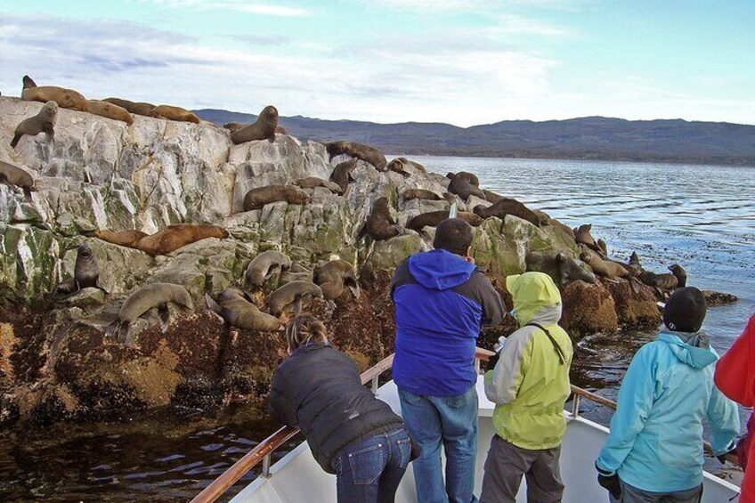 Catamaran Tour through the Beagle Channel in Ushuaia