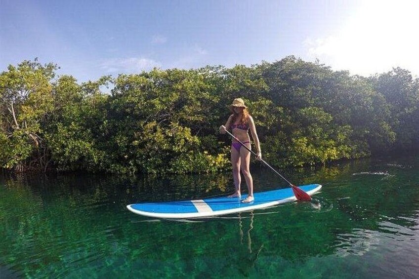 A person paddleboarding on clear water with a forested shoreline in the background. 3